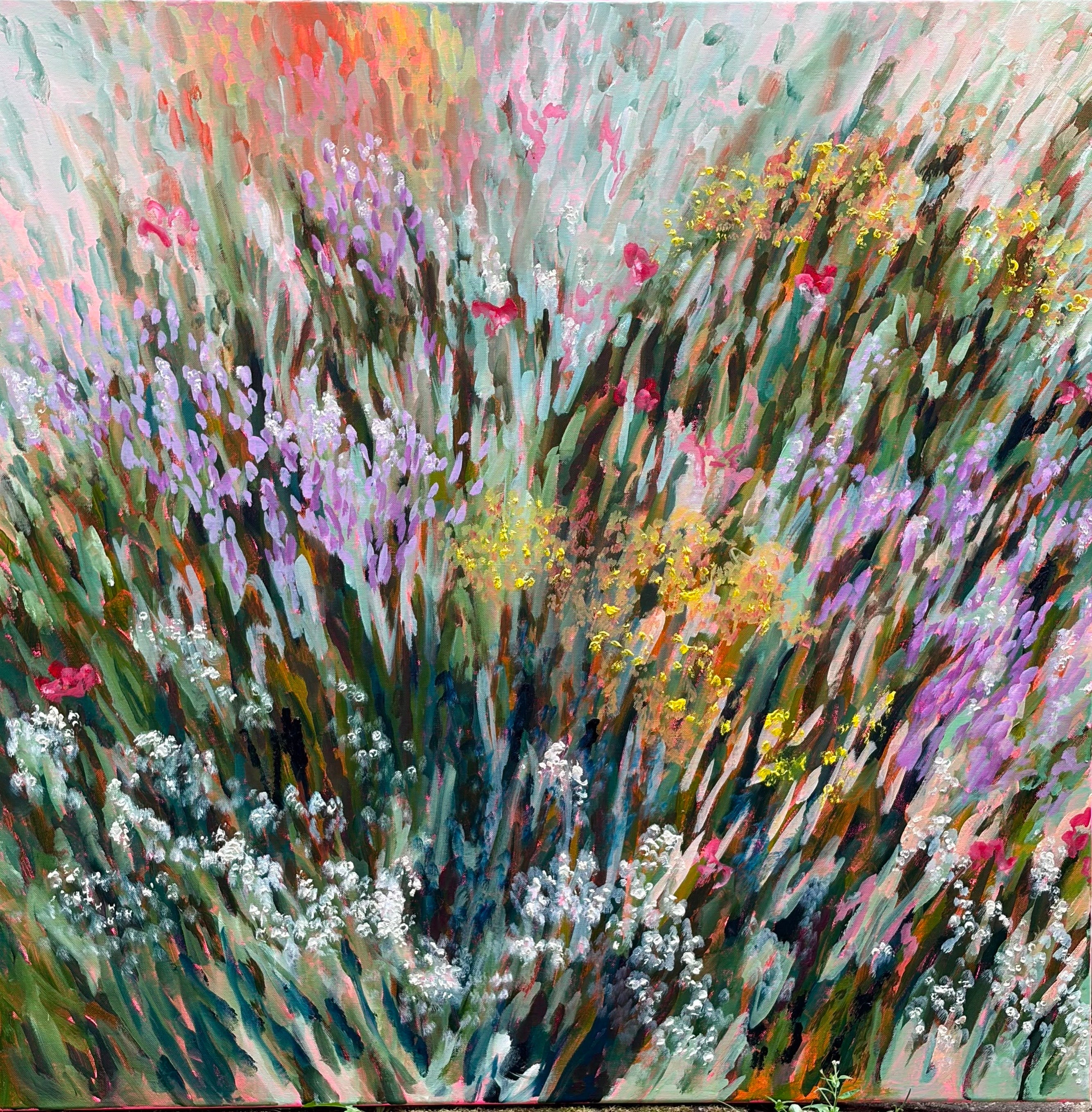 Katy Spring