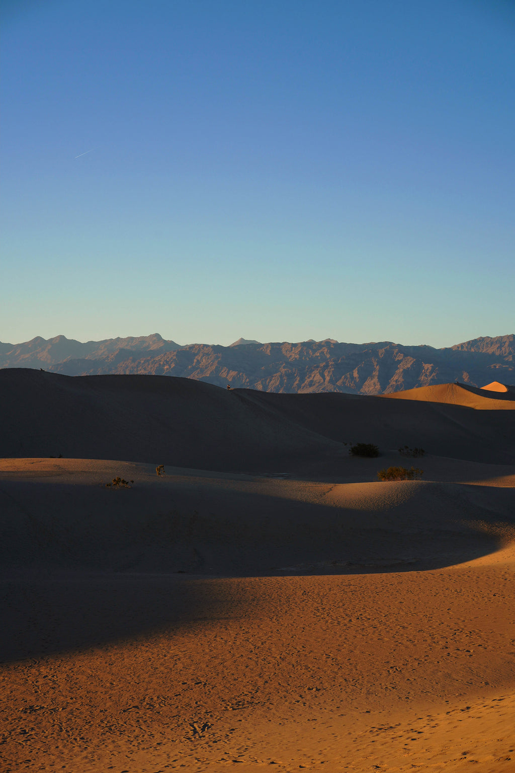 "death dunes" by Marissa Splinter