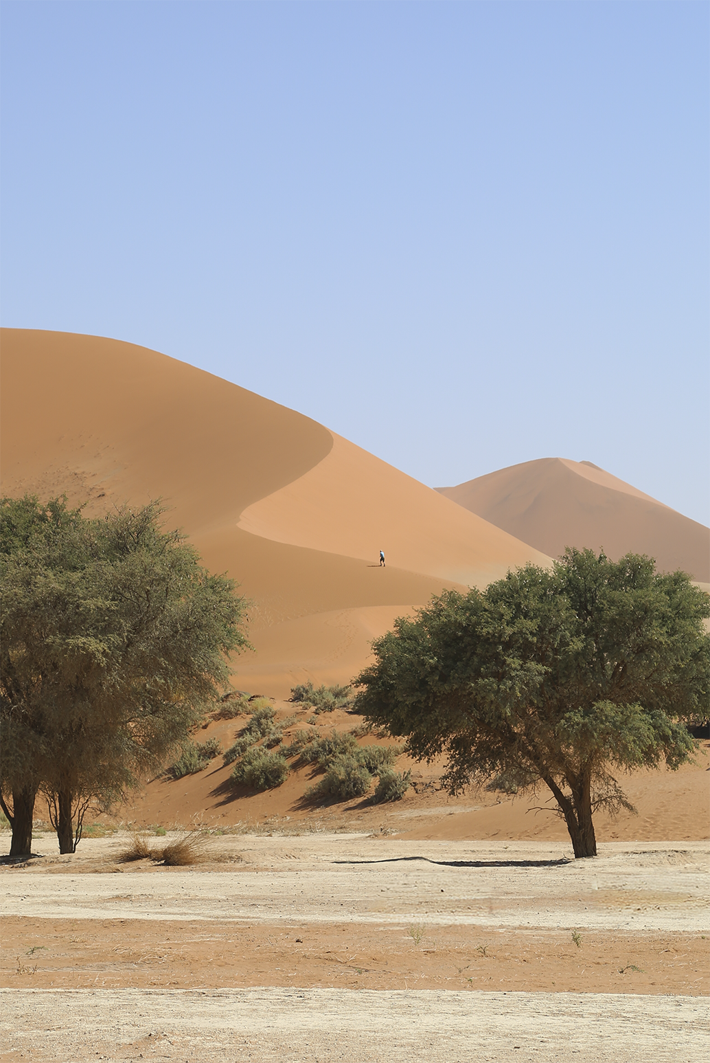 Anouk van Asbeck Photography: Dune