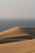 Anouk van Asbeck Photography: Dune 2