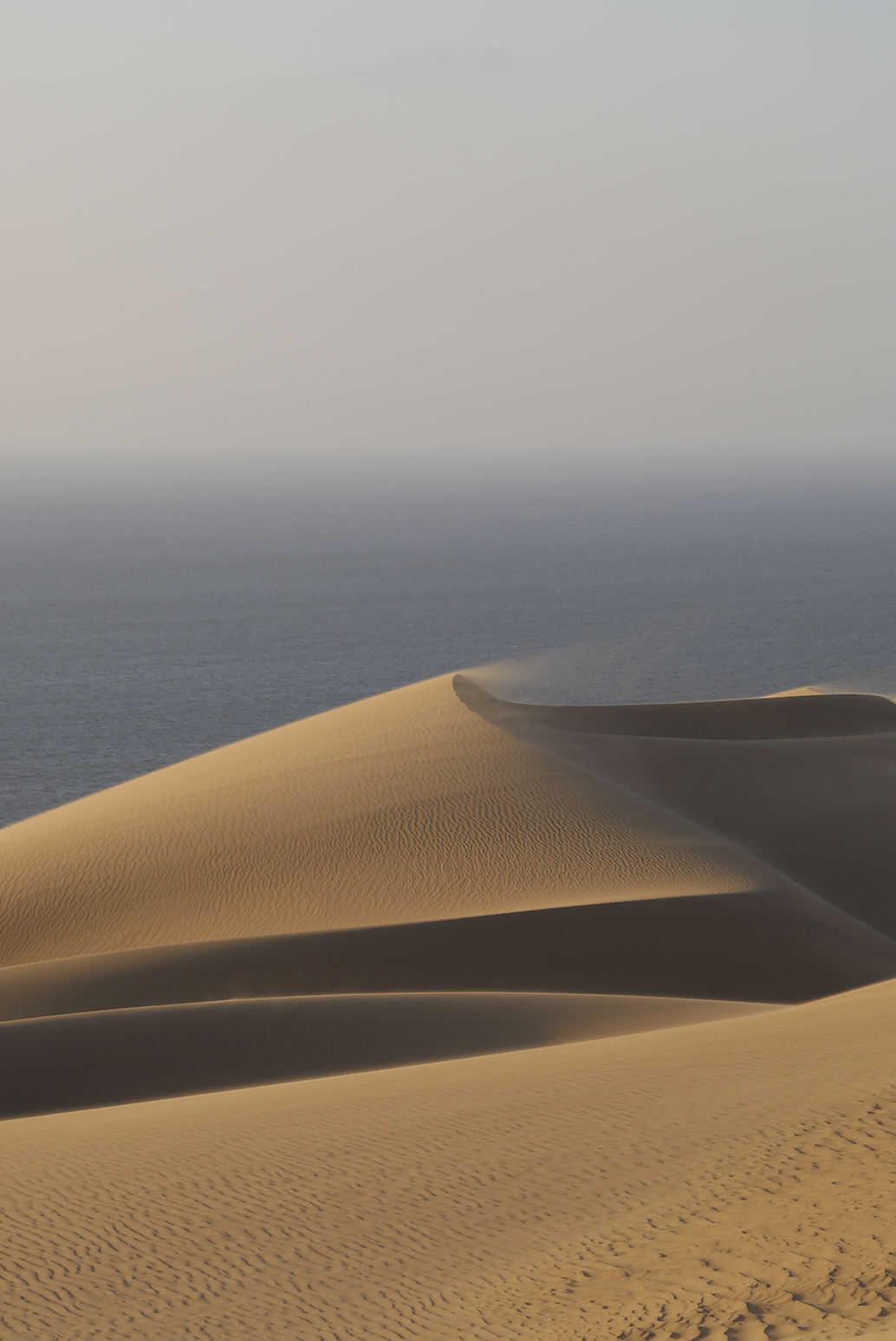 Anouk van Asbeck Photography: Dune 2