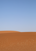 Anouk van Asbeck Photography: Dune 4
