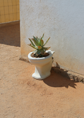 Anouk van Asbeck Photography: Toilet 2