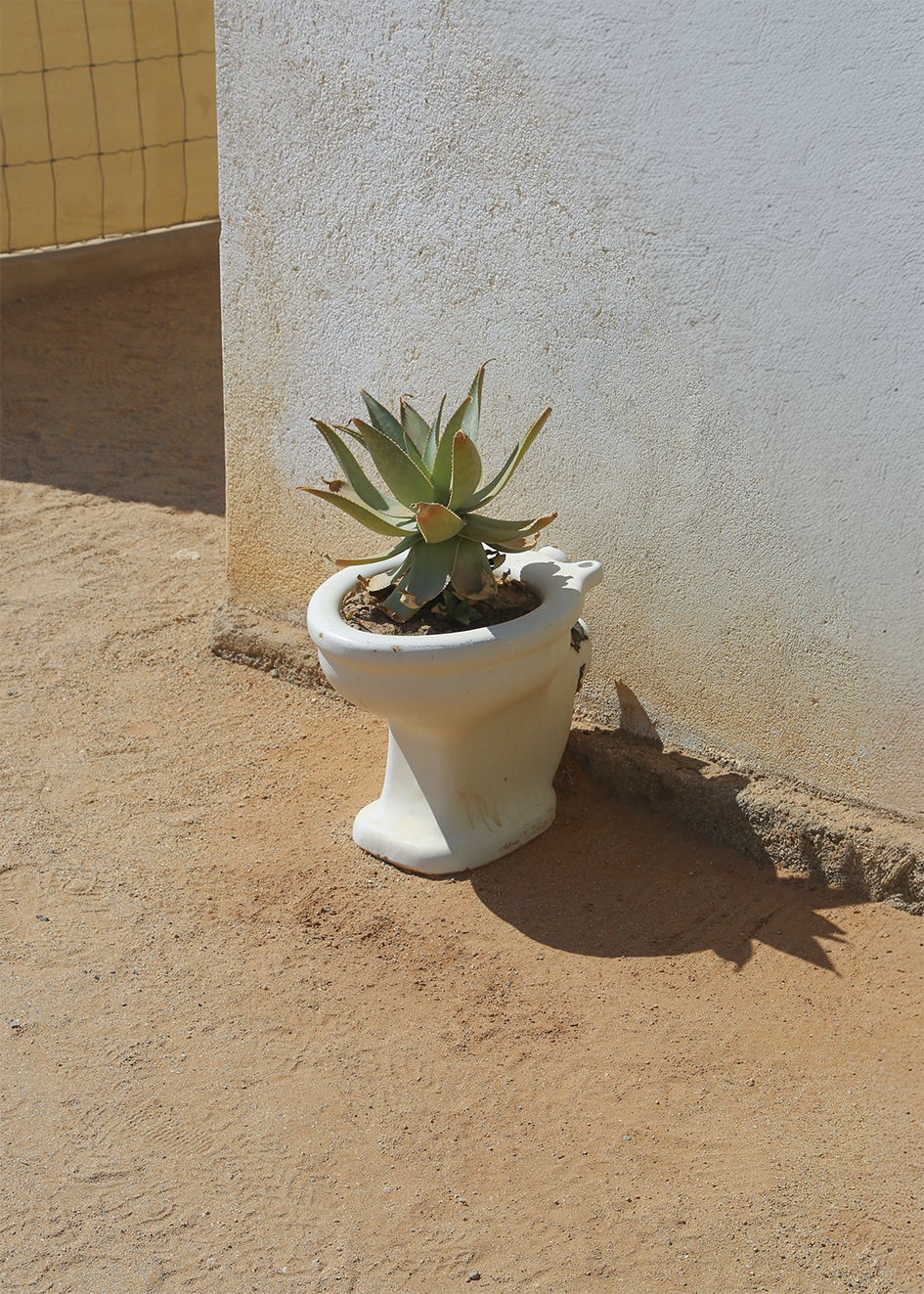 Anouk van Asbeck Photography: Toilet 2