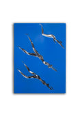 "Dive in the pool" by Meisje van Metaal