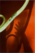 Untitled by Imke Wassink