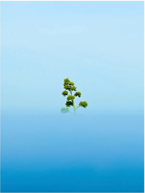 Print by Luuk de Werd
