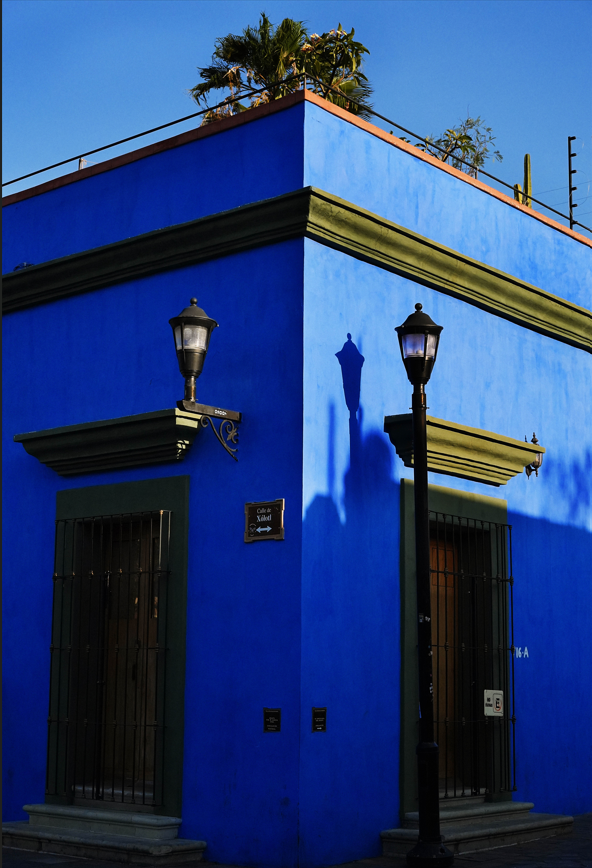 "calle de xolotl" by Marissa Splinter