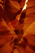 "nature faces" by Marissa Splinter