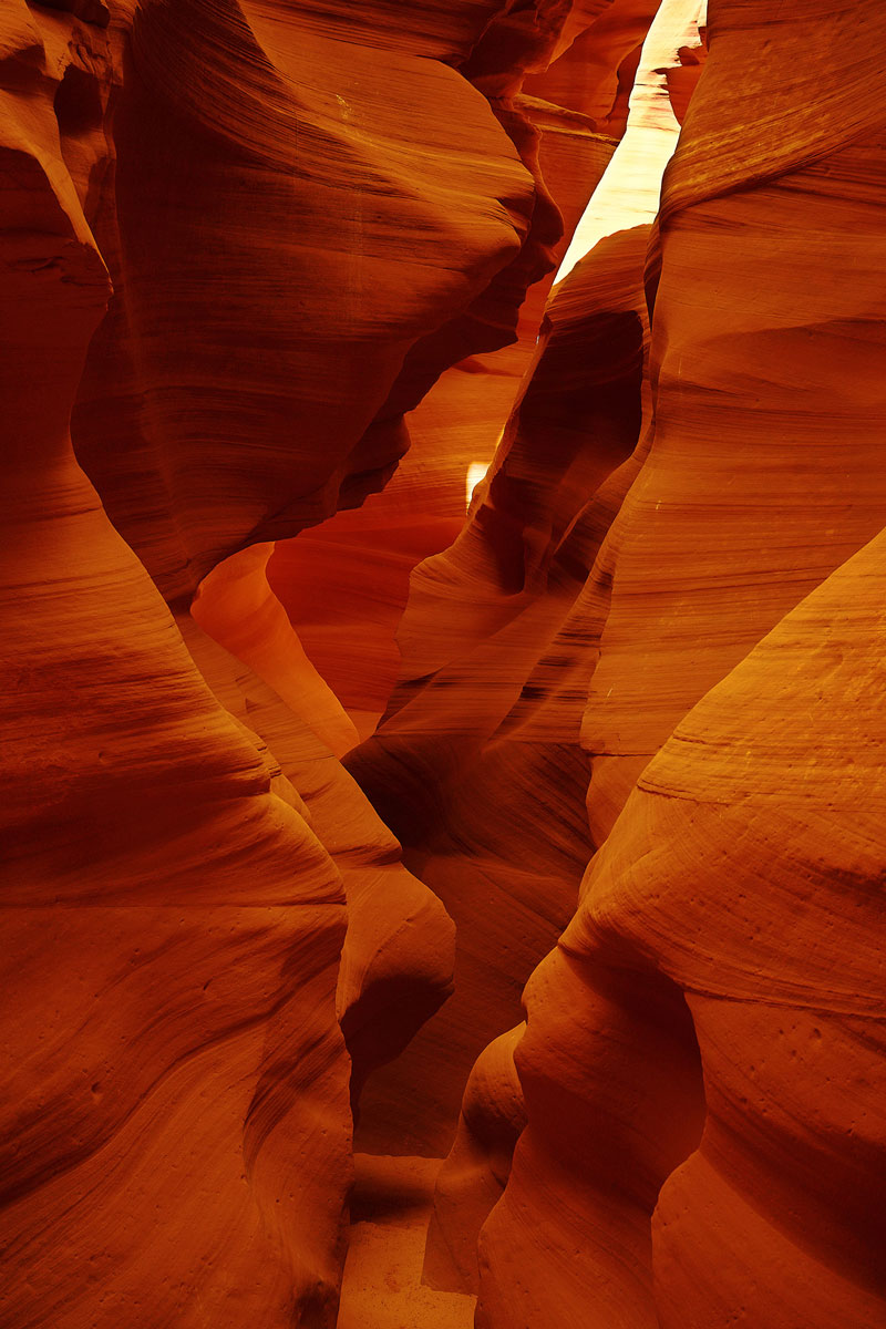 "nature faces" by Marissa Splinter